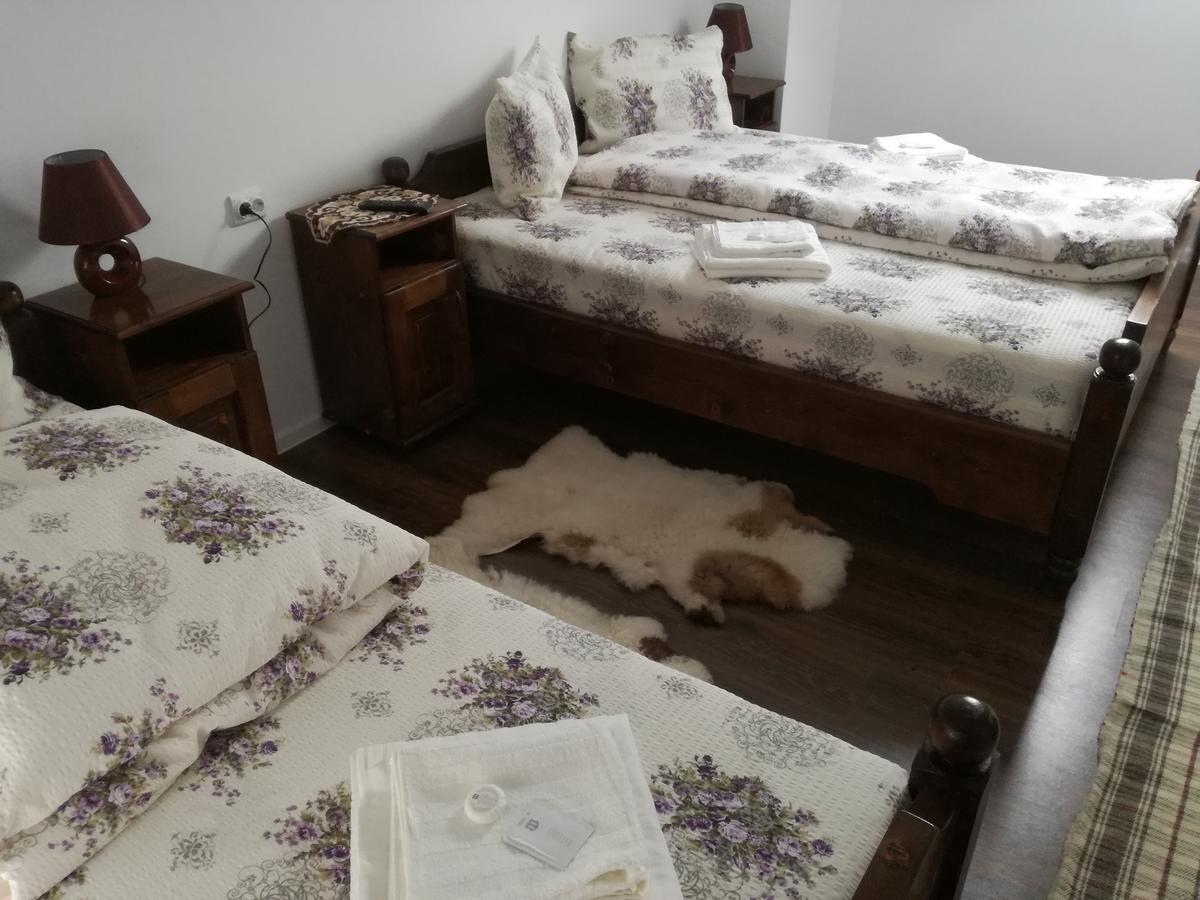 فندق Casa Iancu Jina المظهر الخارجي الصورة