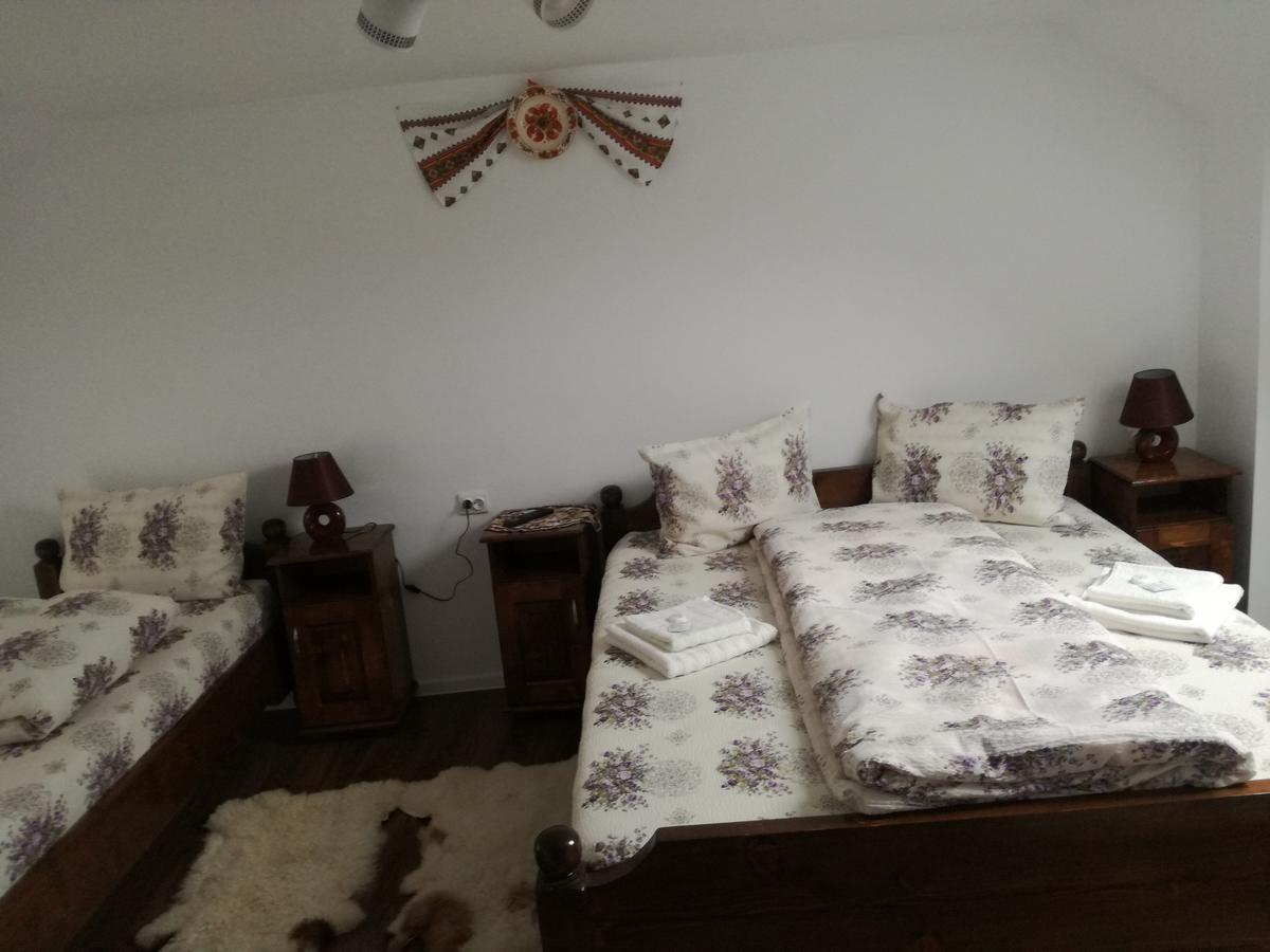 فندق Casa Iancu Jina المظهر الخارجي الصورة